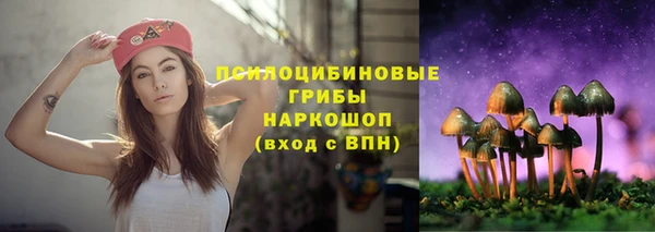 mix Краснослободск