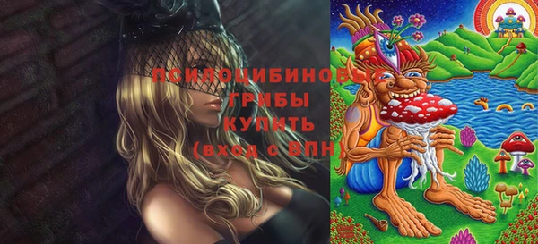 ПСИЛОЦИБИНОВЫЕ ГРИБЫ Россошь