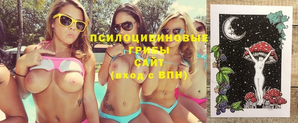 метадон Рославль
