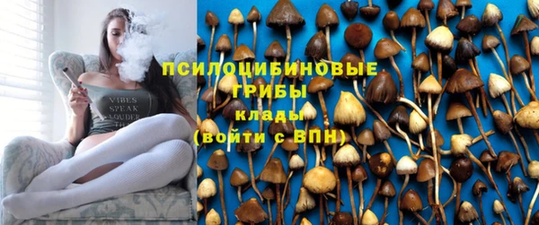 эйфоретик Павловск