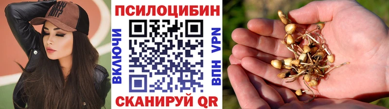 MEGA ссылки закладка Чайковский Псилоцибиновые грибы ЛСД