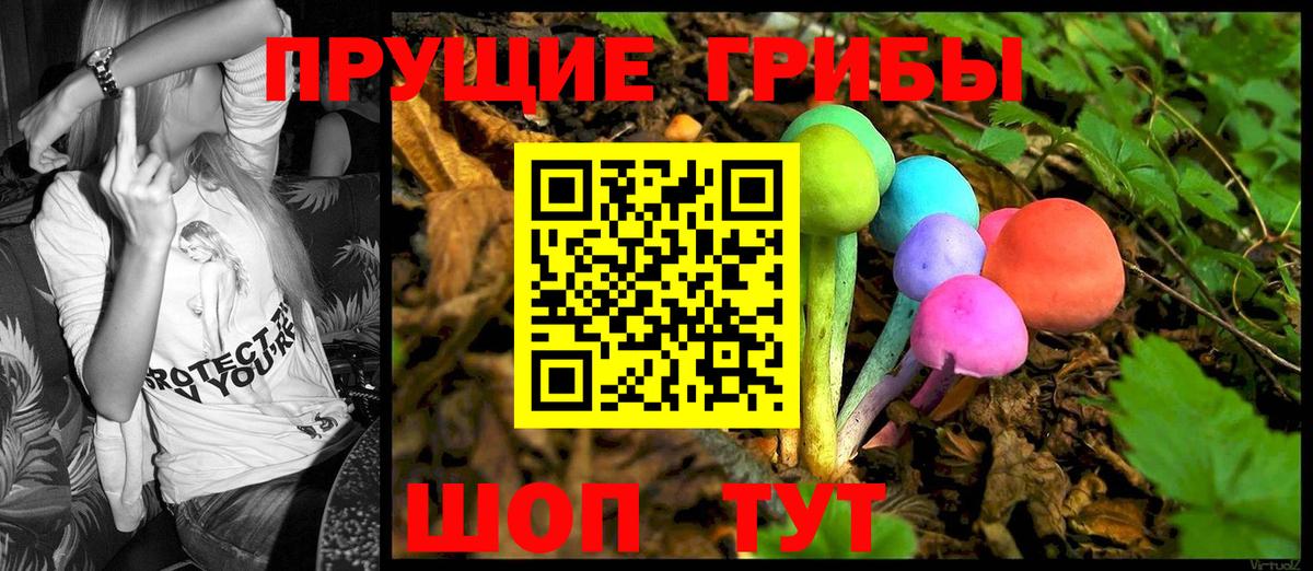 Псилоцибиновые грибы Psilocybine cubensis Чайковский