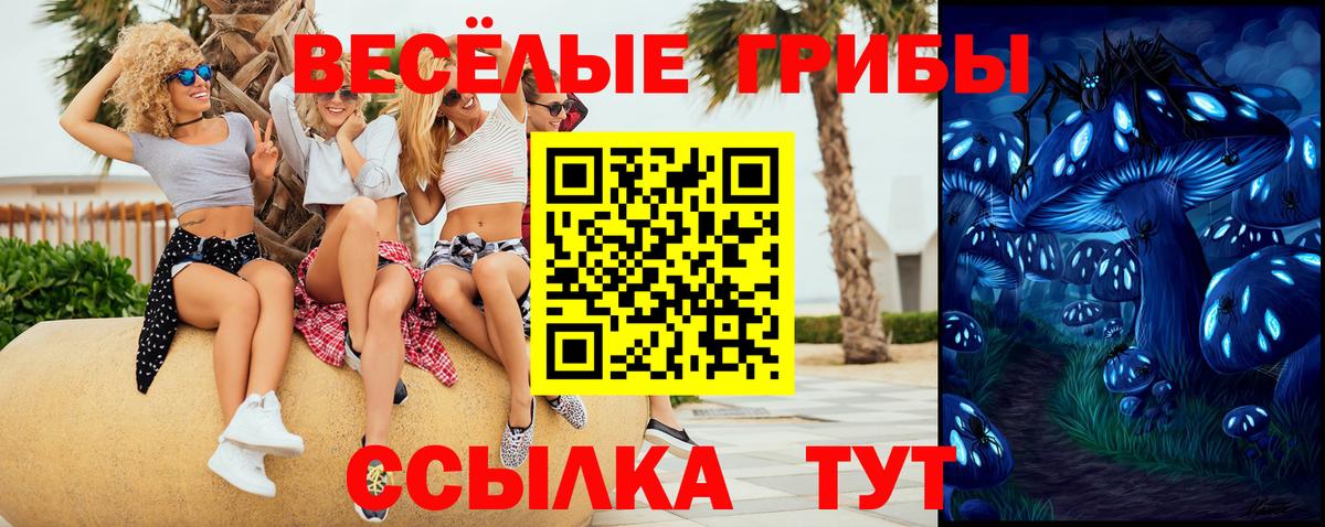 Галлюциногенные грибы Psilocybe Чайковский